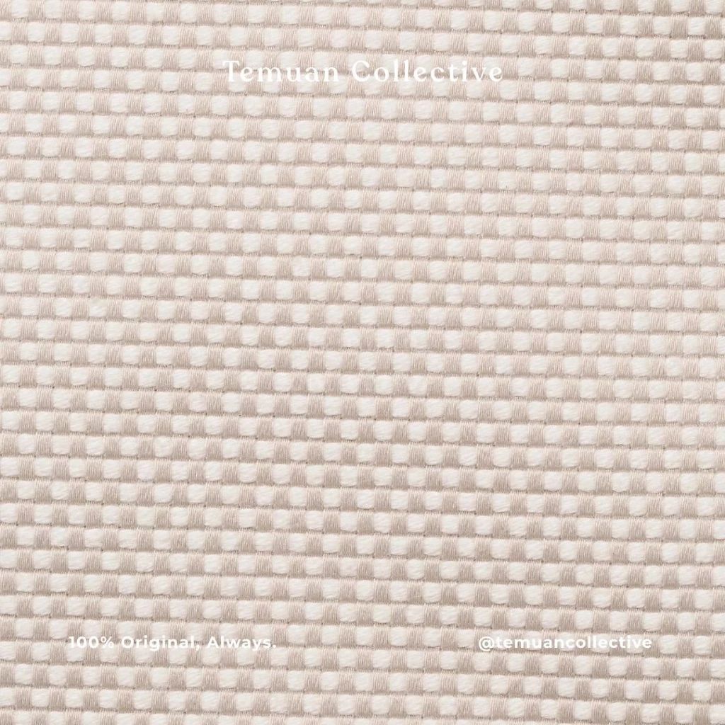 Lululemon Two-Tone Canvas Mini Tote Bag 4.5L & 10L