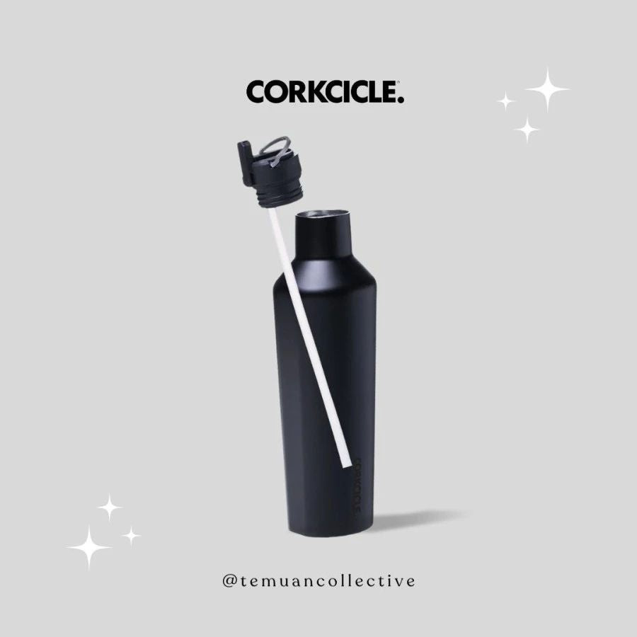 CORKCICLE Ceramic Coated Straw Set