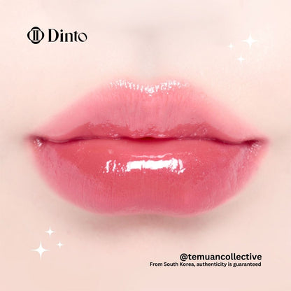 Dinto Blur Glowy Lip Tint 3.5g - Lipstain / Liptint