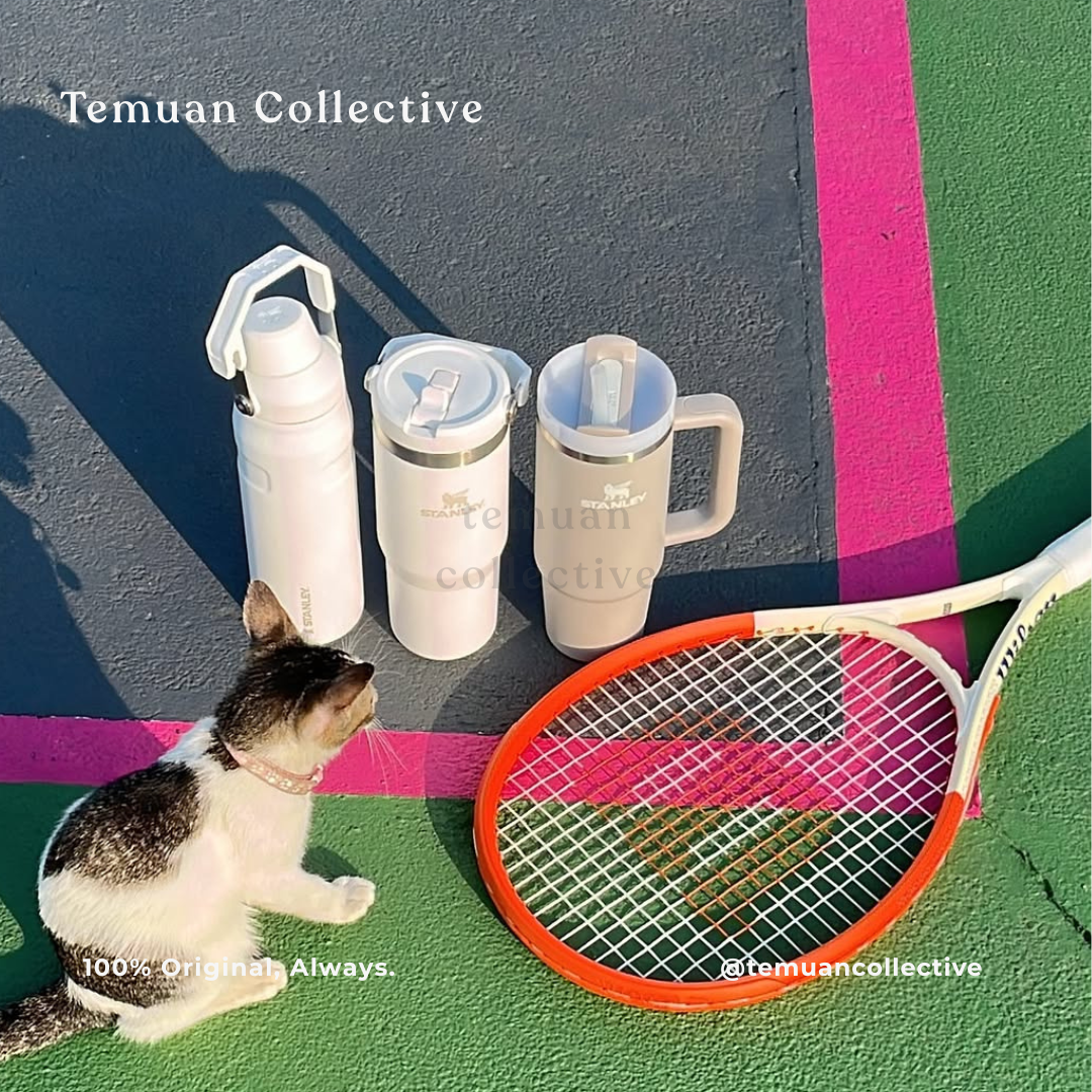 Stanley Quencher H2.0 Tumbler 30oz