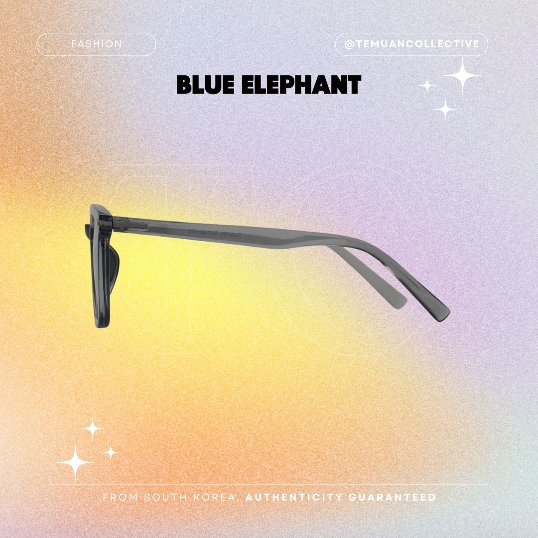 Blue Elephant DUSTIN Sunglasses