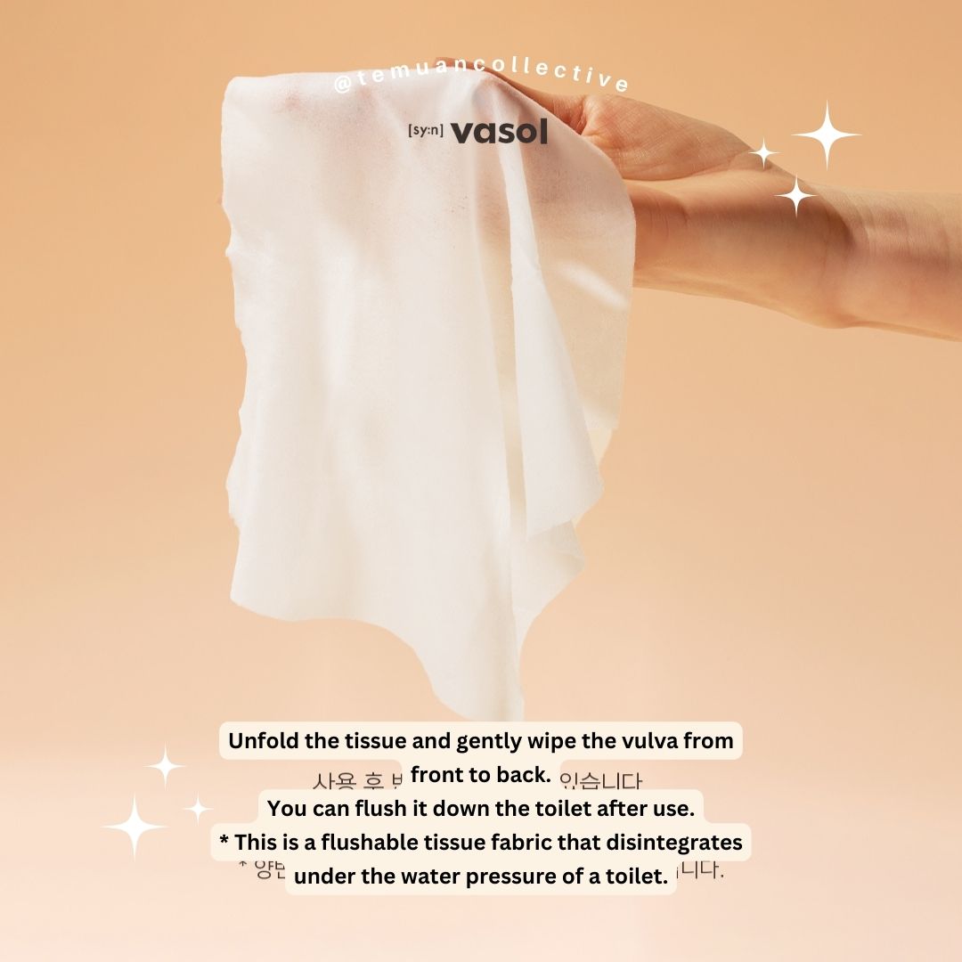 VASOL Inner Balancing Feminine Wipes 15ea Box Set