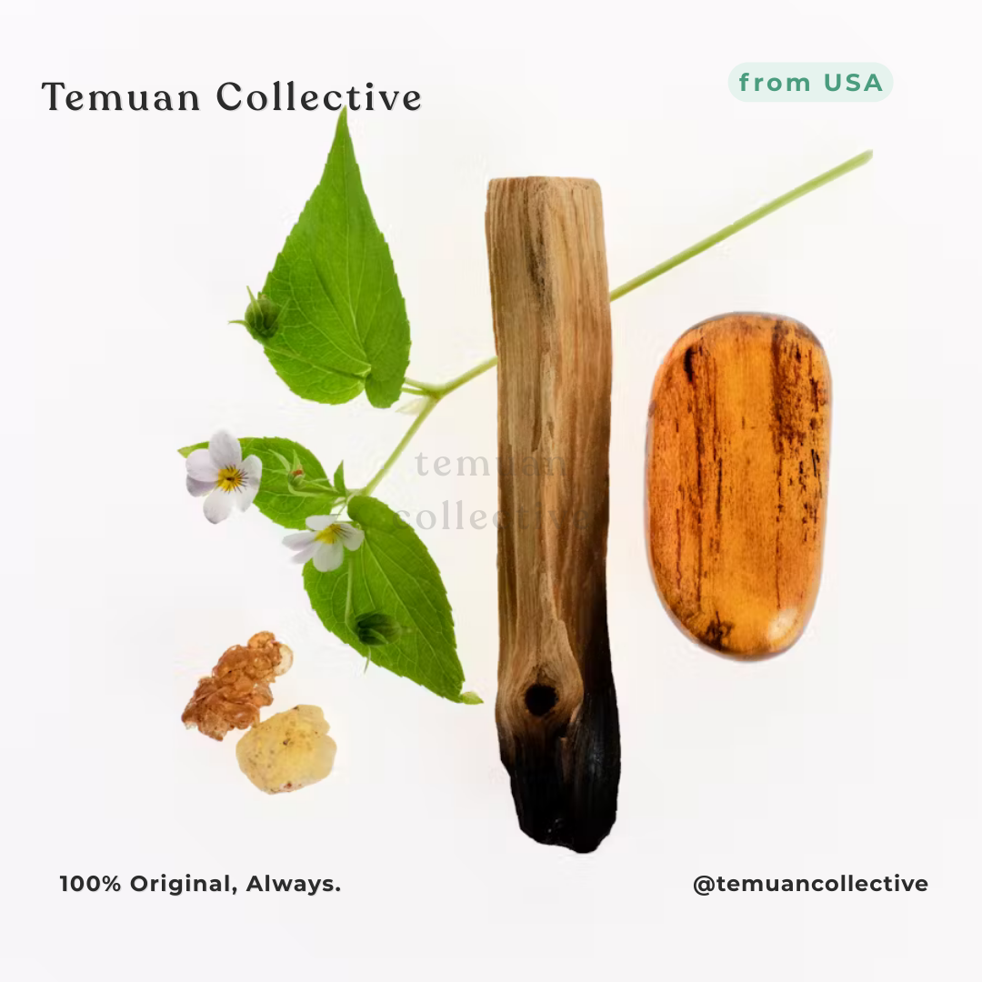 Glossier You Eau De Parfum