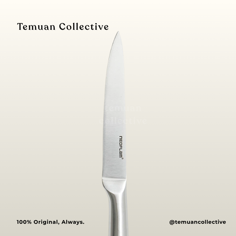 Neoflam All-Stainless Steel Excessive / Paring Knife / Steel Knife / Chinese Chef's Knife / Santoku