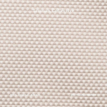 Lululemon Two-Tone Canvas Mini Tote Bag 4.5L & 10L