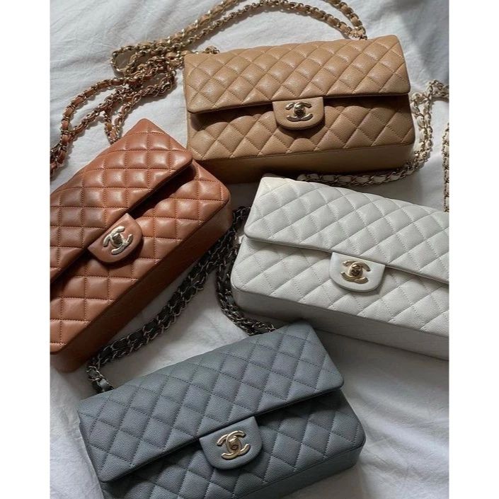 The Bag Shaper Pillow Insert