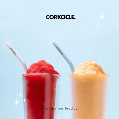 CORKCICLE Ceramic Coated Straw Set