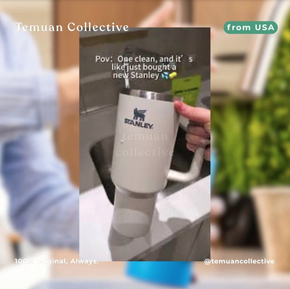 Efferdent® Plus Mint Complete Clean Dental Appliance Cleanser