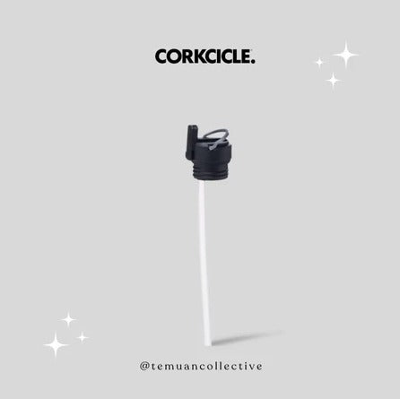 CORKCICLE Ceramic Coated Straw Set